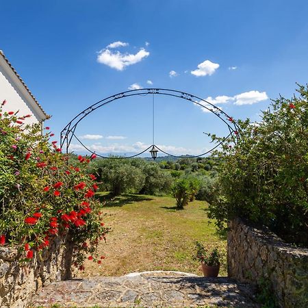 Classical Villa Anta Ágios Ioánnis 外观 照片