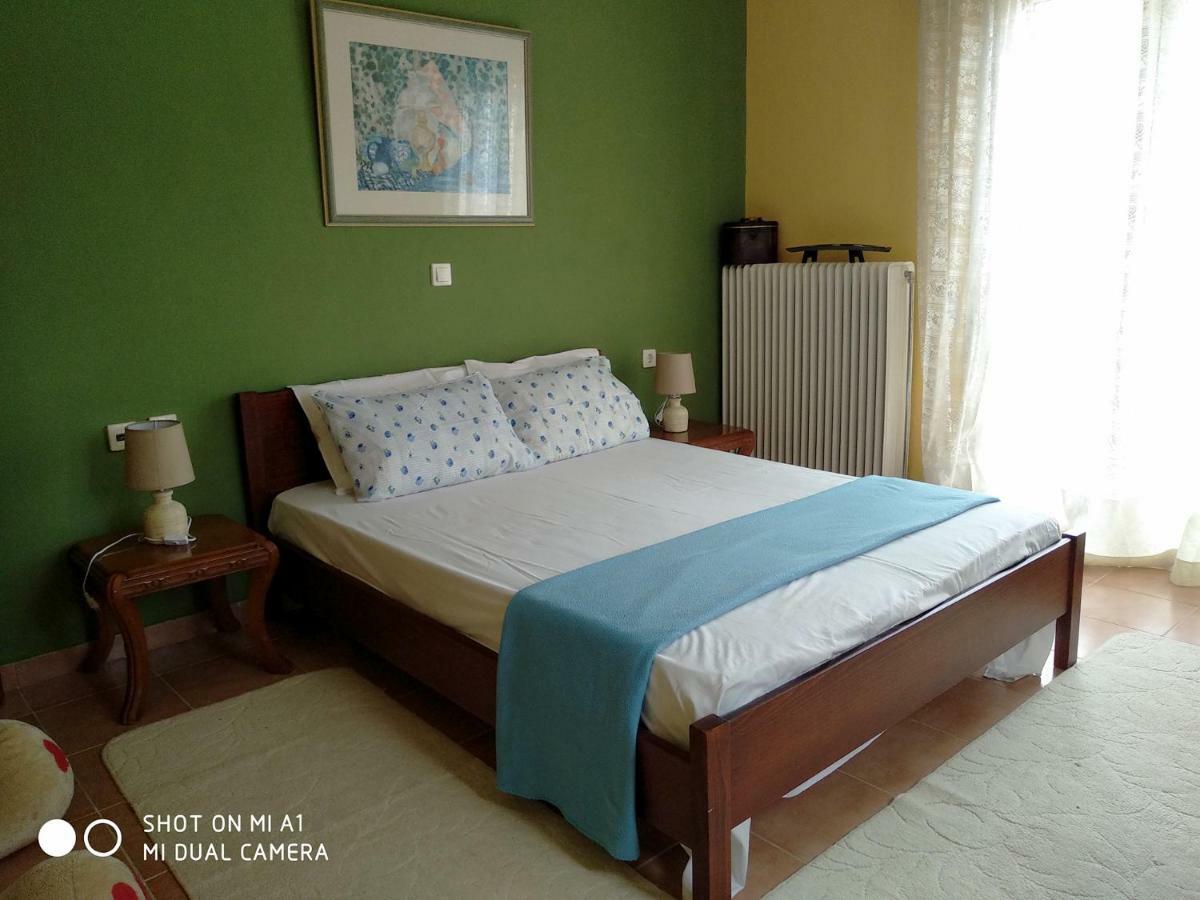 Classical Villa Anta Ágios Ioánnis 外观 照片